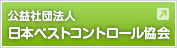 ׼ˡ ܥڥȥȥ붨