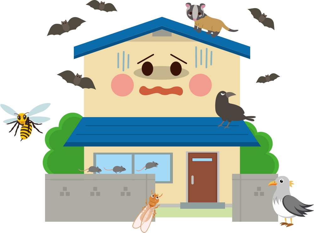 個人向けサービスイメージ