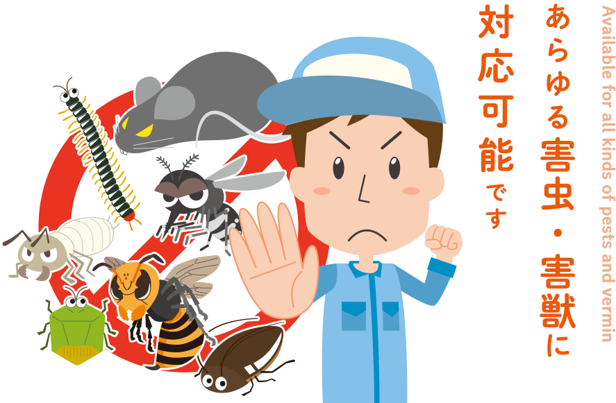メインビジュアル